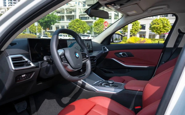 Black BMW 318i Photo 13