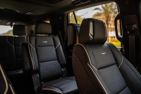 Черный Cadillac Escalade Platinum Fully Loaded Photo 4