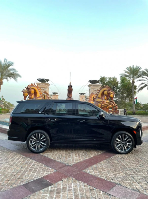 Черный Cadillac Escalade Platinum S Photo 2