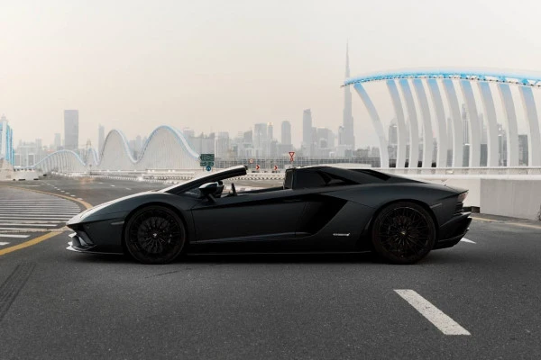 Black Lamborghini Aventador Roadster Photo 2