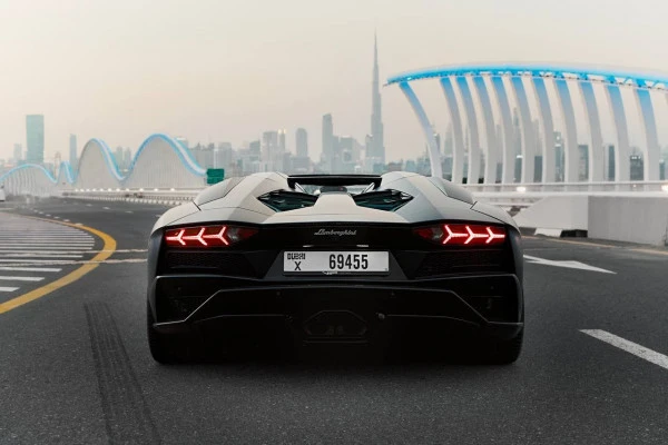 Black Lamborghini Aventador Roadster Photo 4
