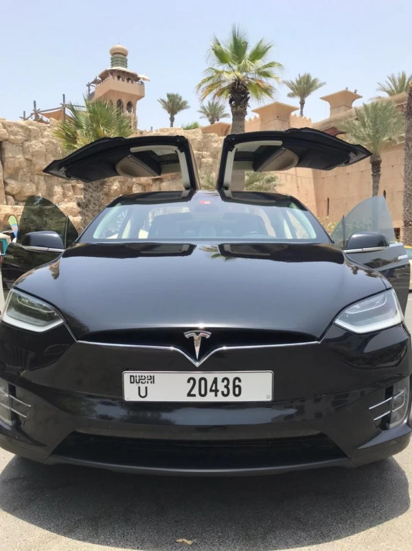 Black Tesla Model X Photo 3