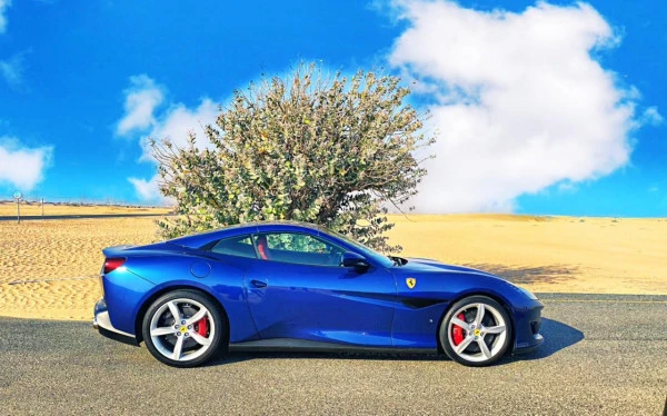 Blue Ferrari Portofino Rosso Photo 4
