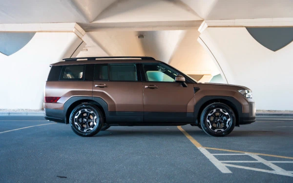 Brown Hyundai Santa Fe Photo 3