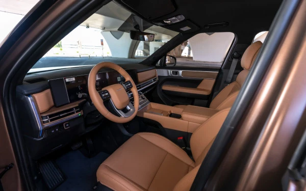 Brown Hyundai Santa Fe Photo 5
