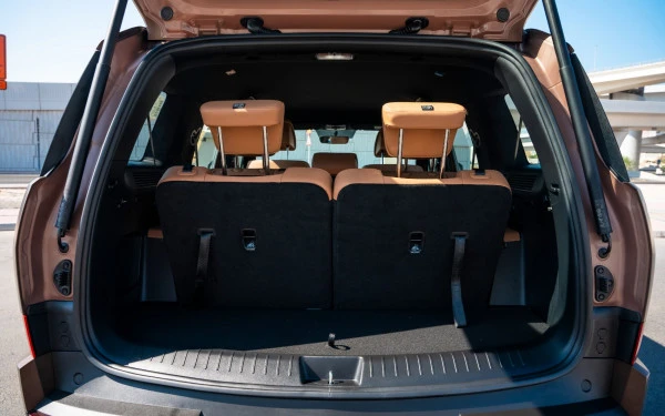 Brown Hyundai Santa Fe Photo 6