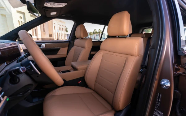 Brown Hyundai Santa Fe Photo 7