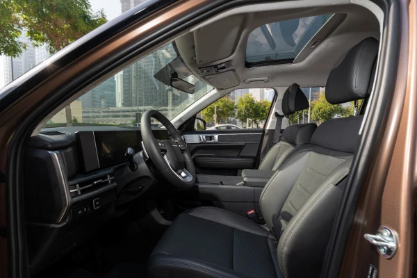 Brown Hyundai Santa Fe Photo 5