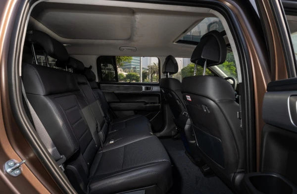 Brown Hyundai Santa Fe Photo 6