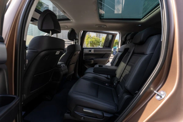 Brown Hyundai Santa Fe Photo 7