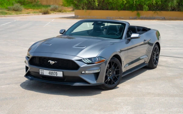 Dark Grey Ford Mustang cabrio Photo 4
