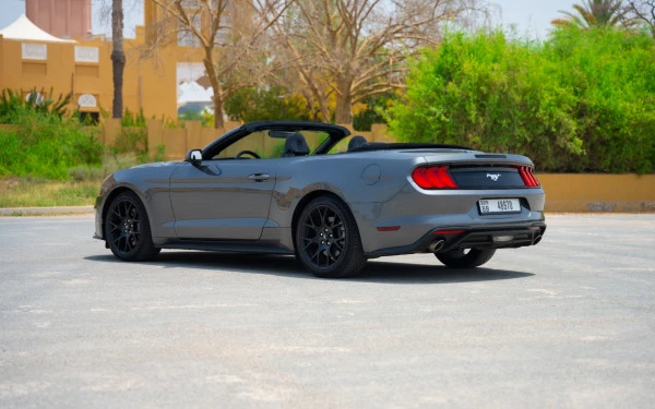 Dark Grey Ford Mustang cabrio Photo 5