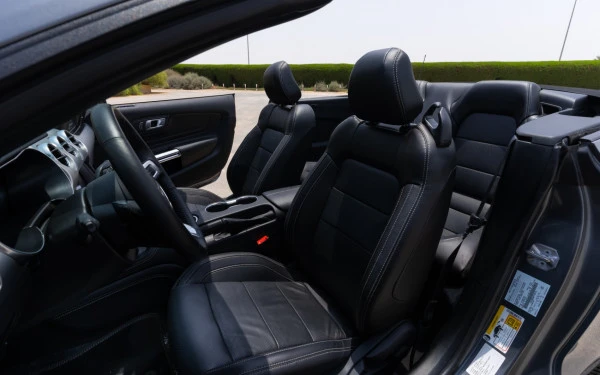 Dark Grey Ford Mustang cabrio Photo 8