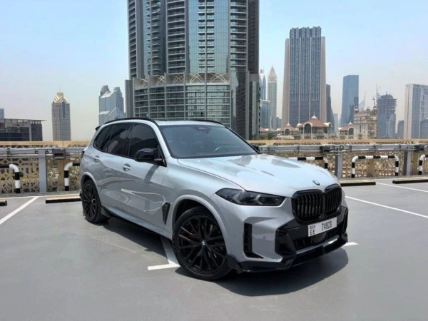 Grey BMW X5 Photo 3
