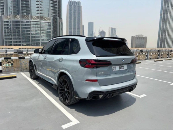 Grey BMW X5 Photo 6