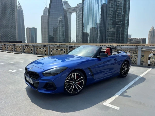 Grey BMW Z4 30I Photo 2