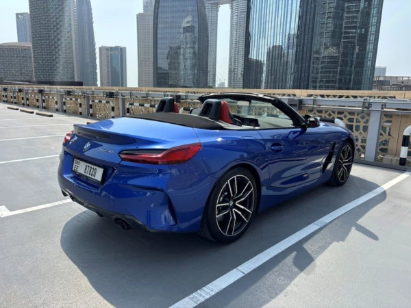 Grey BMW Z4 30I Photo 3