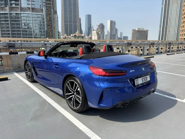 Grey BMW Z4 30I Photo 4
