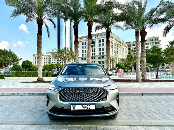 Grey Haval H6 Photo 12
