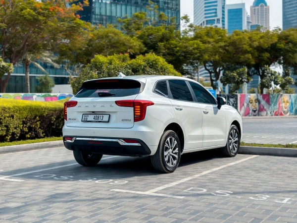White Haval Jolion Photo 5
