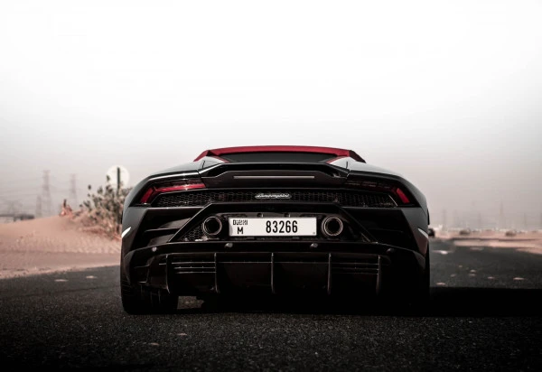 Серый Lamborghini Evo Spyder Photo 2