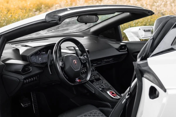 Серый Lamborghini Evo Spyder Photo 3