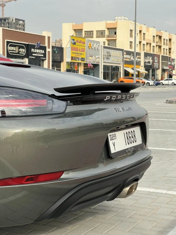 Grey Porsche 911 / Carrera Photo 5