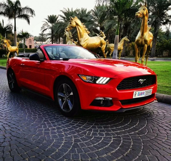 Красный Ford Mustang Convertible Photo 4
