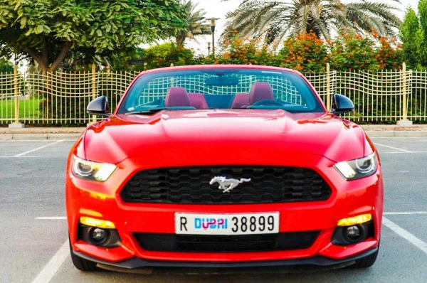 Красный Ford Mustang Convertible Photo 5