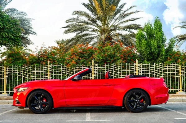 Красный Ford Mustang Convertible Photo 2