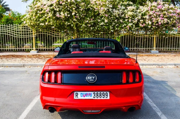 Красный Ford Mustang Convertible Photo 3