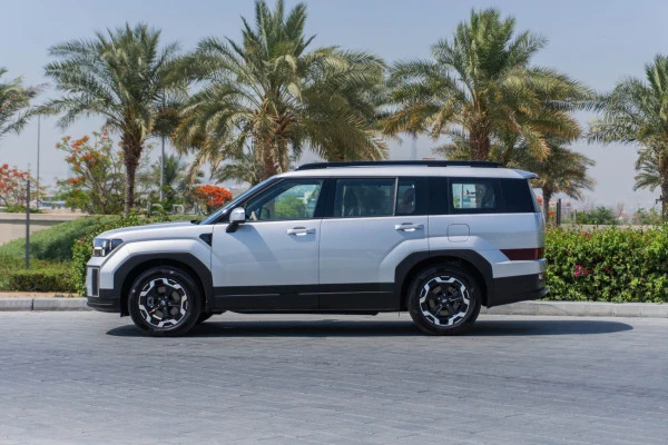 Серебро Hyundai Santa Fe Photo 2