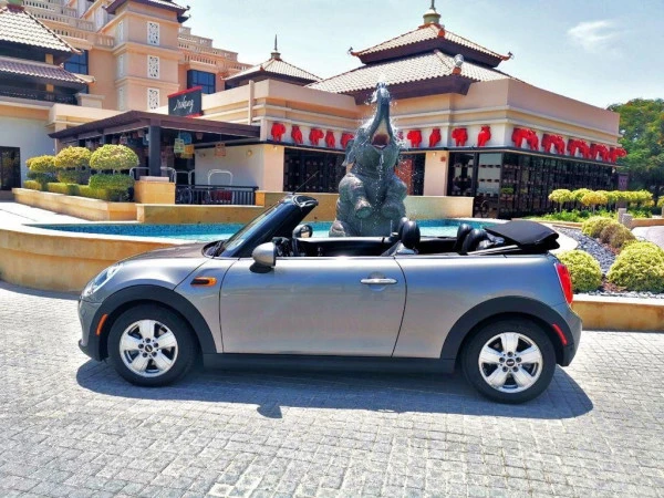 Silver Mini Cooper cabrio Photo 4