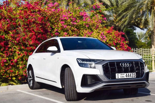 White Audi Q8 Photo 3