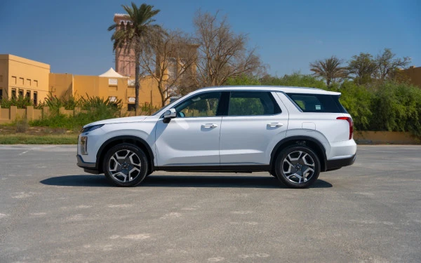 White Hyundai Palisade Photo 2