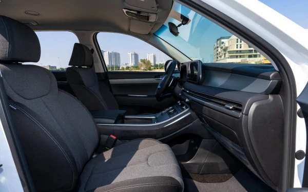 White Hyundai Palisade Photo 7
