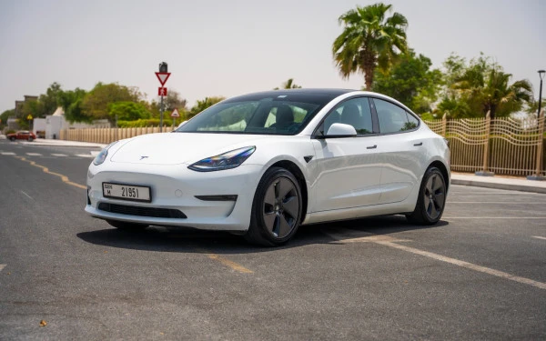 Белый Tesla Model 3 Photo 3