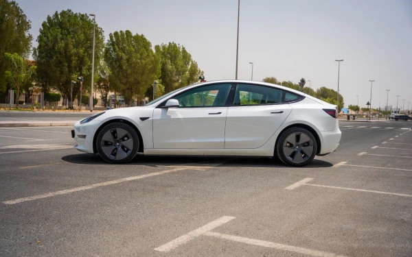 Белый Tesla Model 3 Photo 4