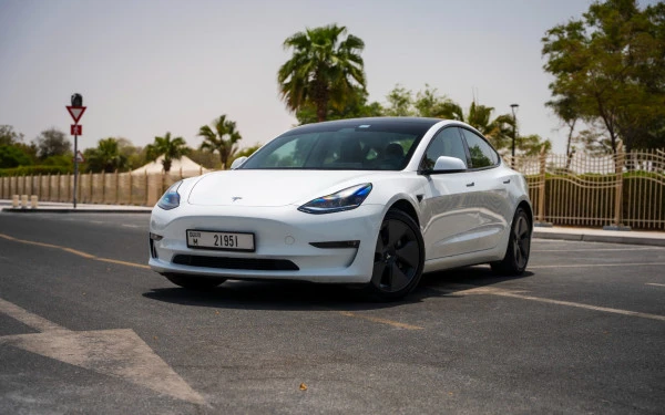 Белый Tesla Model 3 Photo 8