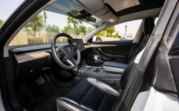 Белый Tesla Model 3 Photo 10