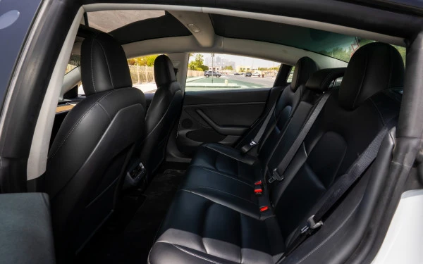 Белый Tesla Model 3 Photo 11