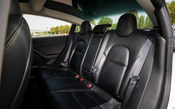 Белый Tesla Model 3 Photo 12