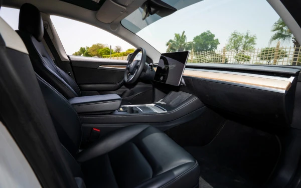 Белый Tesla Model 3 Photo 15
