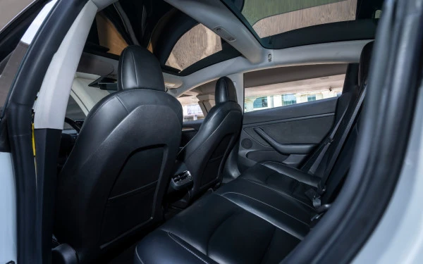 White Tesla Model 3 Photo 10