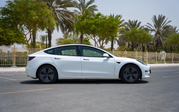 White Tesla Model 3 Photo 2
