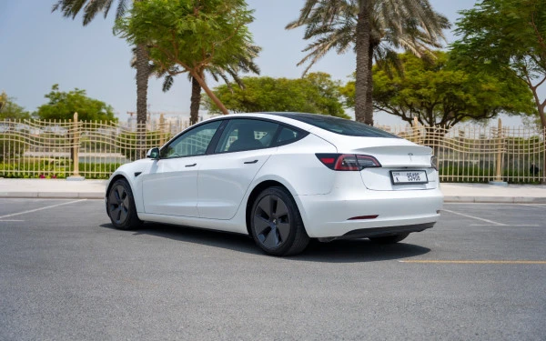 White Tesla Model 3 Photo 5
