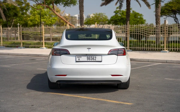 White Tesla Model 3 Photo 6