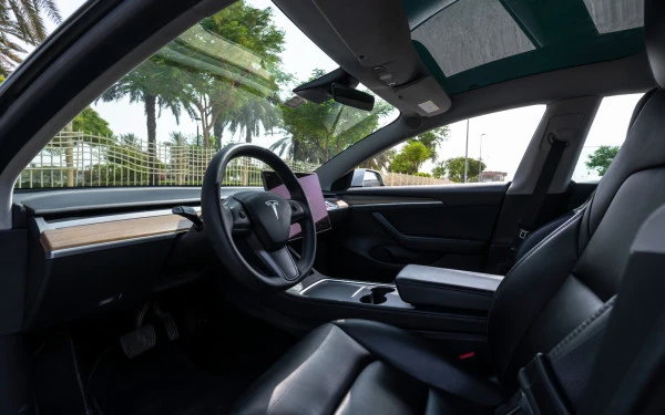 White Tesla Model 3 Photo 9