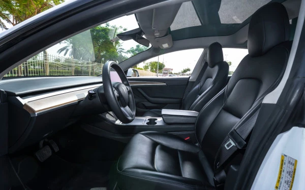 White Tesla Model 3 Photo 10