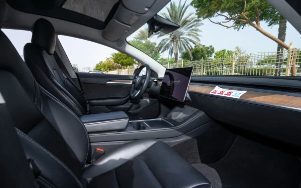 White Tesla Model 3 Photo 13